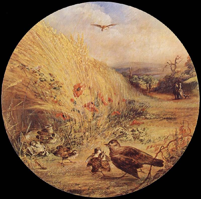 William Dexter Wheatfield with bird-s nest France oil painting art